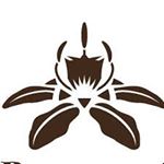 The Blessed Seed coupons logo